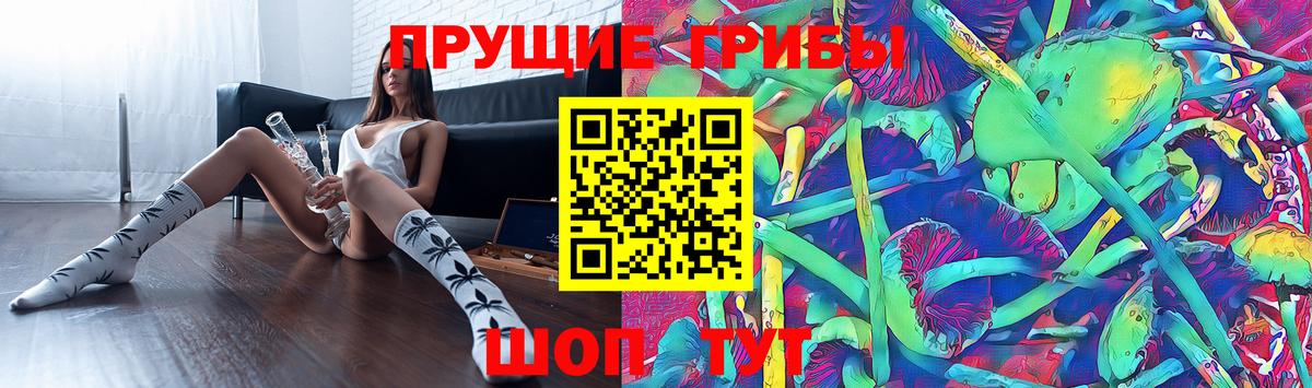 Псилоцибиновые грибы Cubensis Алексеевка