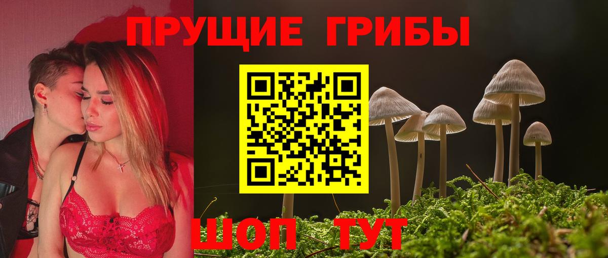 Алексеевка  Псилоцибиновые грибы ЛСД  Вход с VPN 